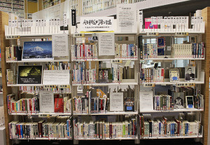 boshin-2