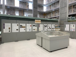 展示風景